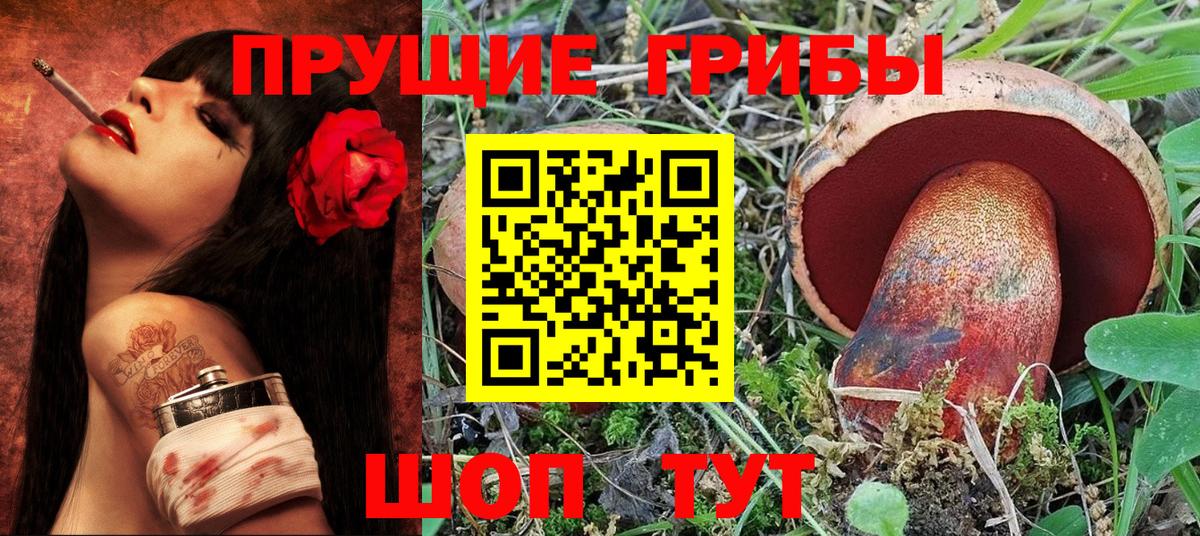 Псилоцибиновые грибы GOLDEN TEACHER Советский