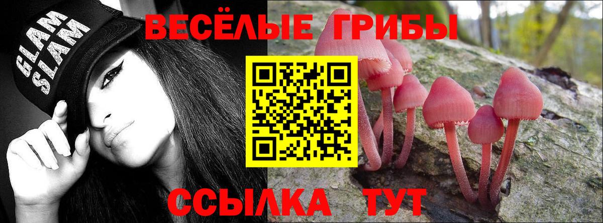 Псилоцибиновые грибы Cubensis  Псилоцибиновые грибы Psilocybe  Вход с VPN  Советский 